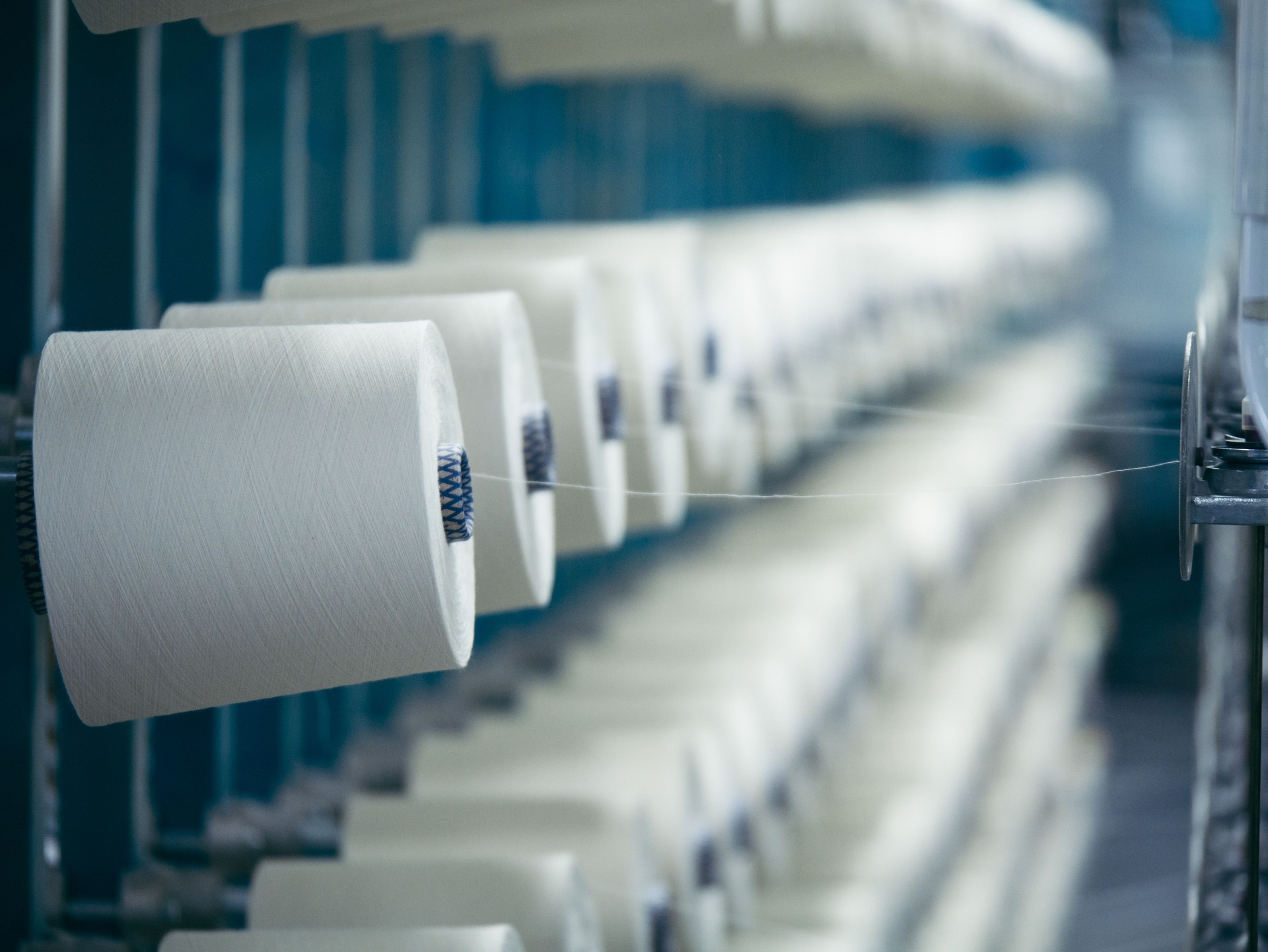 White yarn spools of industrial  warping machine  in textile factory